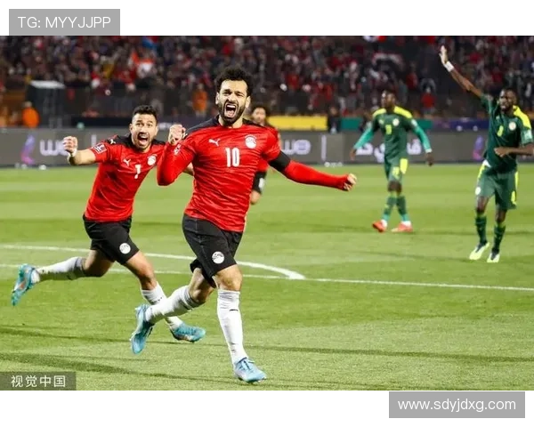 埃及足协主席关心萨拉赫恢复进度